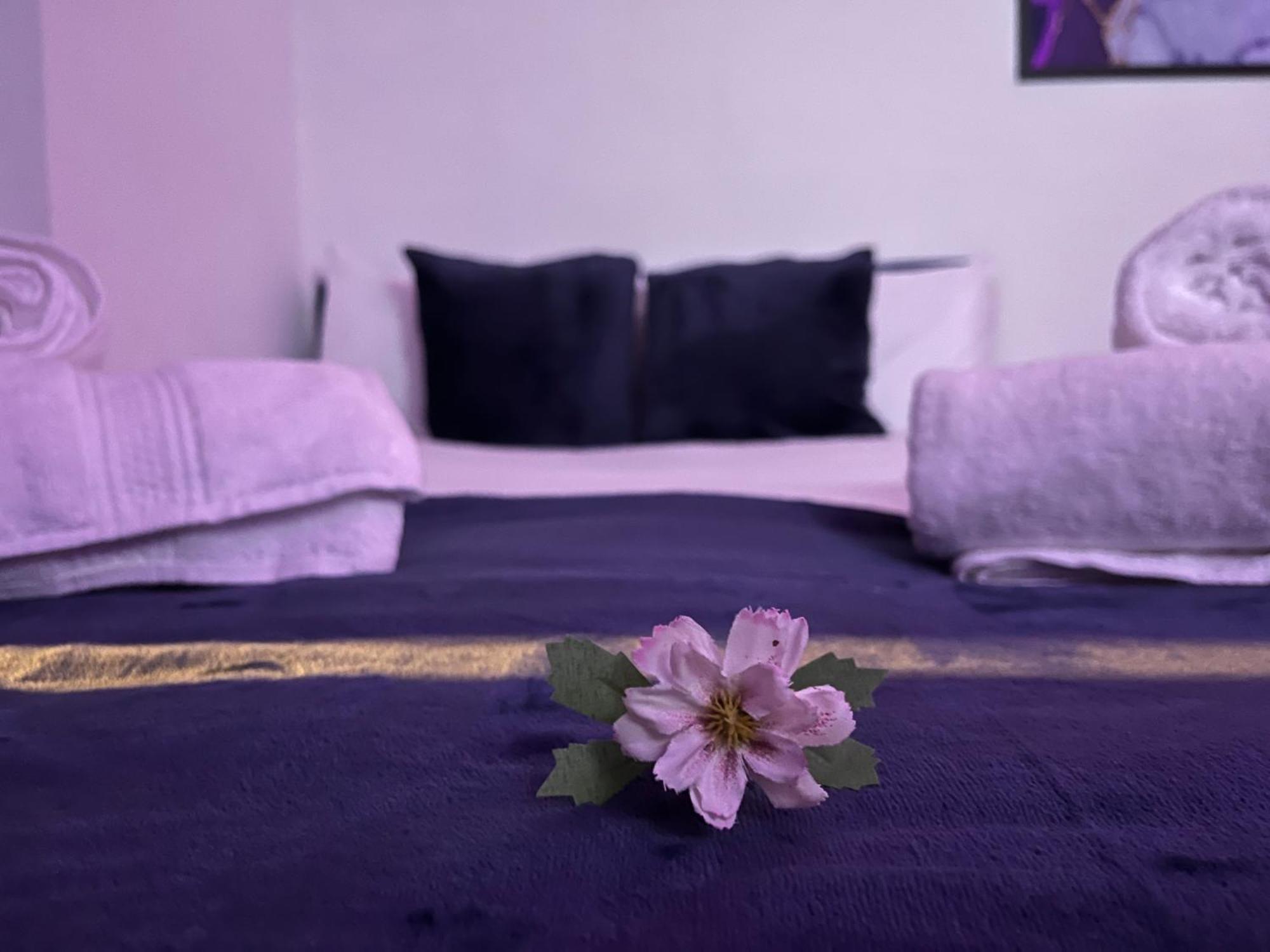 Apartment In Camden, Central Location London Kültér fotó